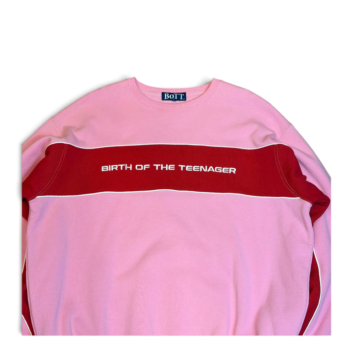 Bott Pink Spellout Sweatshirt (XL)