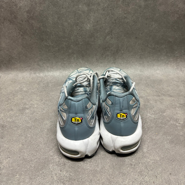 Nike TN Air Max Plus Waterway Trainers (UK10)