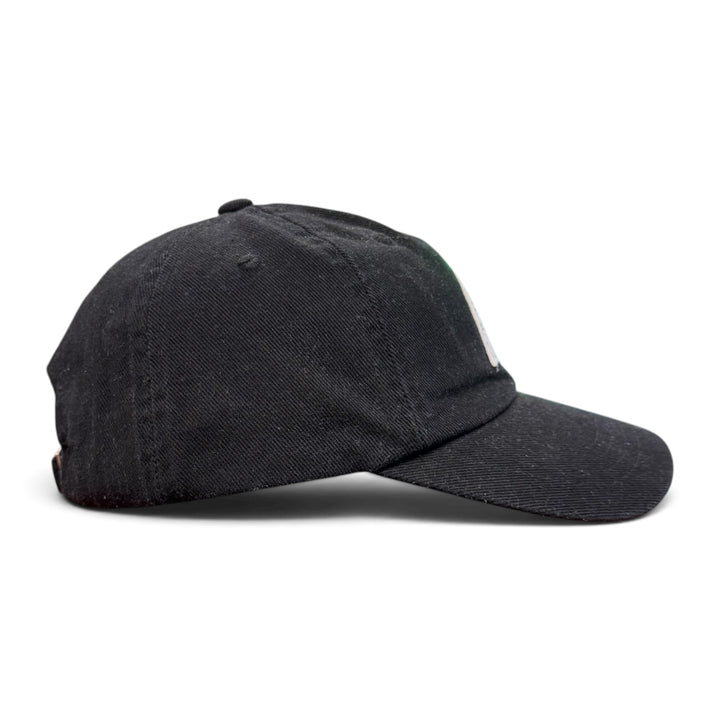 Palace P 6 - Panel Cap Black