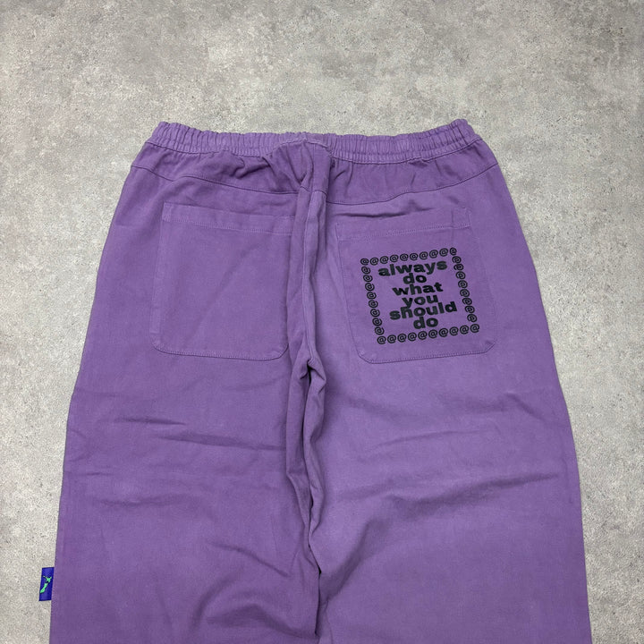 Always Do What You Should Do Purple Relaxed Canvas Trousers (L)